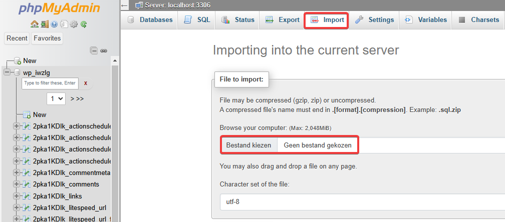phpMyAdmin: Import, choose file (EN).png