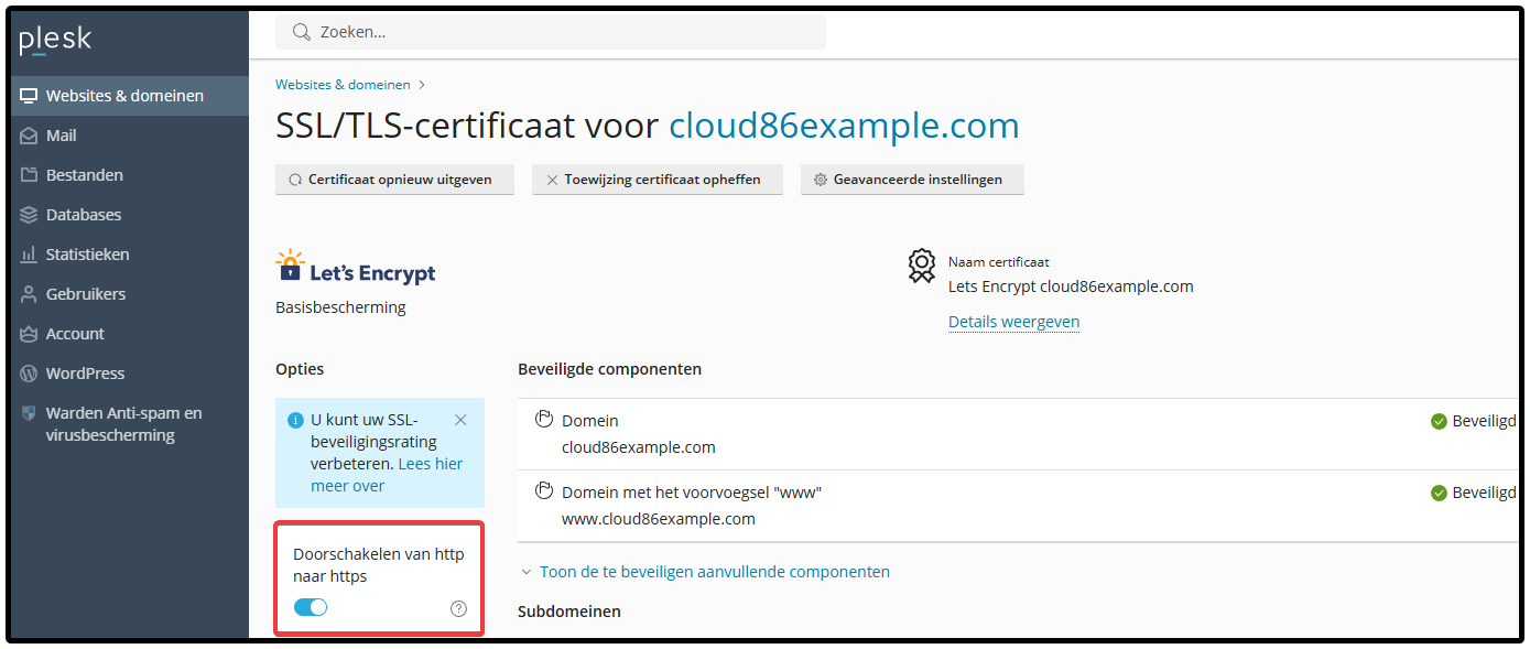 NL Plesk_, Domain, http to https.png