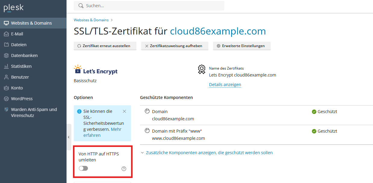 DE Plesk_, Domain, http to https.png