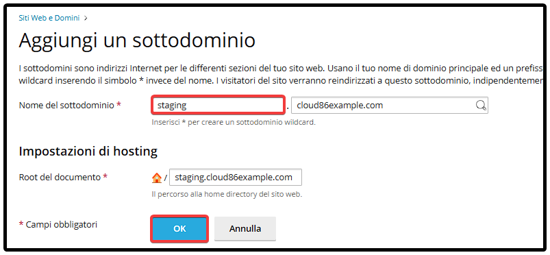 IT Plesk_ Add subdomain, settings.png