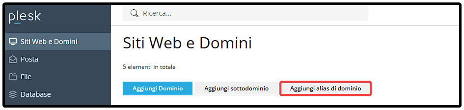 IT Plesk_ Add Domain Alias.png