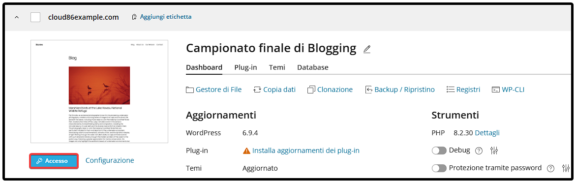 IT Plesk_ WordPress, login.png