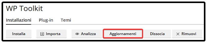 IT Plesk_ WordPress, Update.png