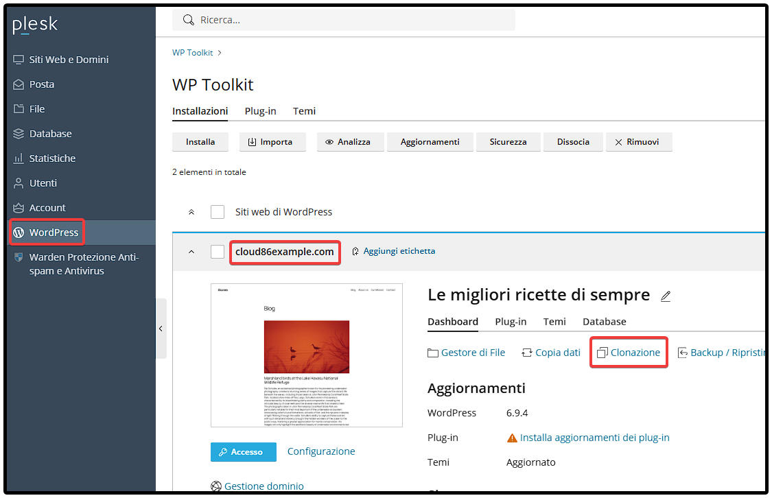IT Plesk_ WordPress, Clone website.png