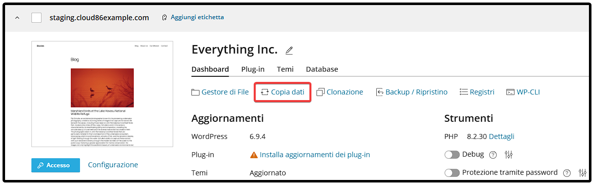 IT Plesk_ Restore staging, copy data.png