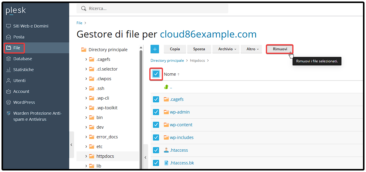 IT Plesk_ Database, WordPress restore, clear files.png