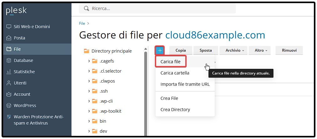IT Plesk_ Files, upload file.png