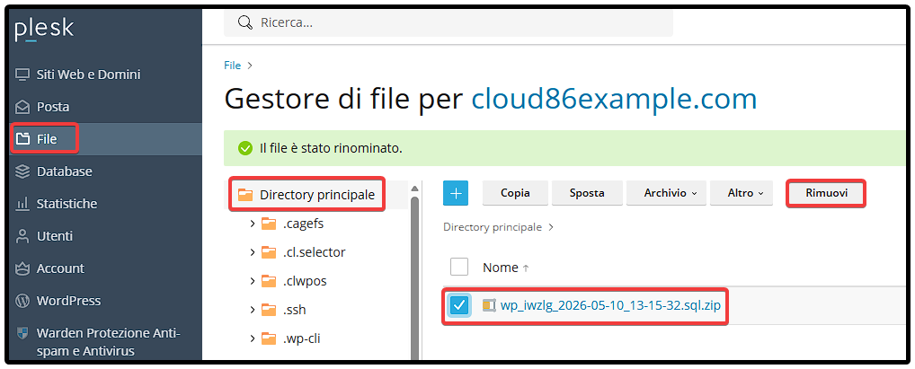 IT Plesk_ Files, remove database dump.png
