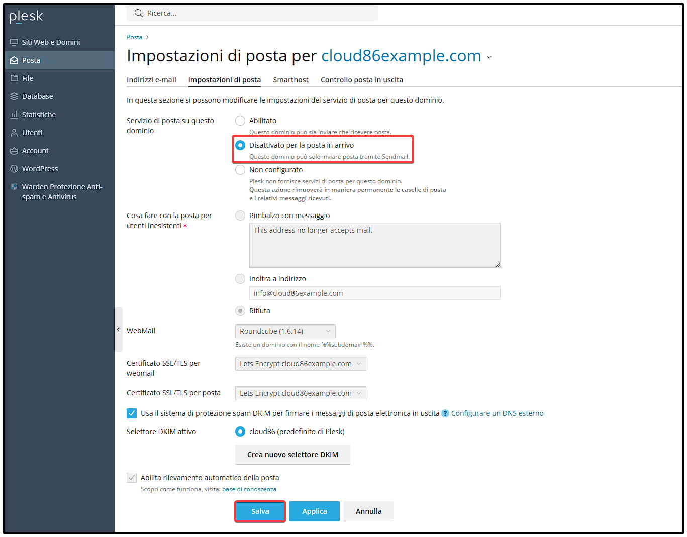 IT Plesk_ Mail, Mail settings domain, settings.png